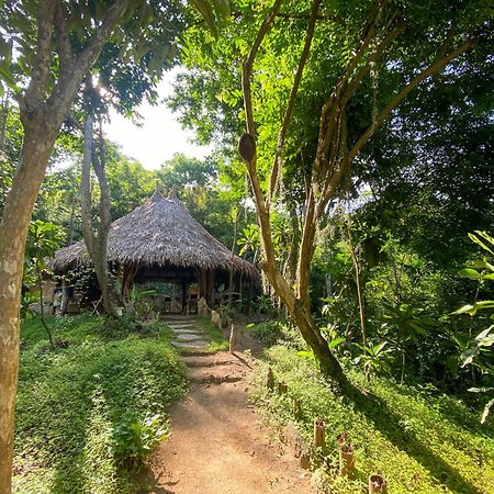 Hostal Paraiso Tayrona Kogui Los Naranjos Extérieur photo