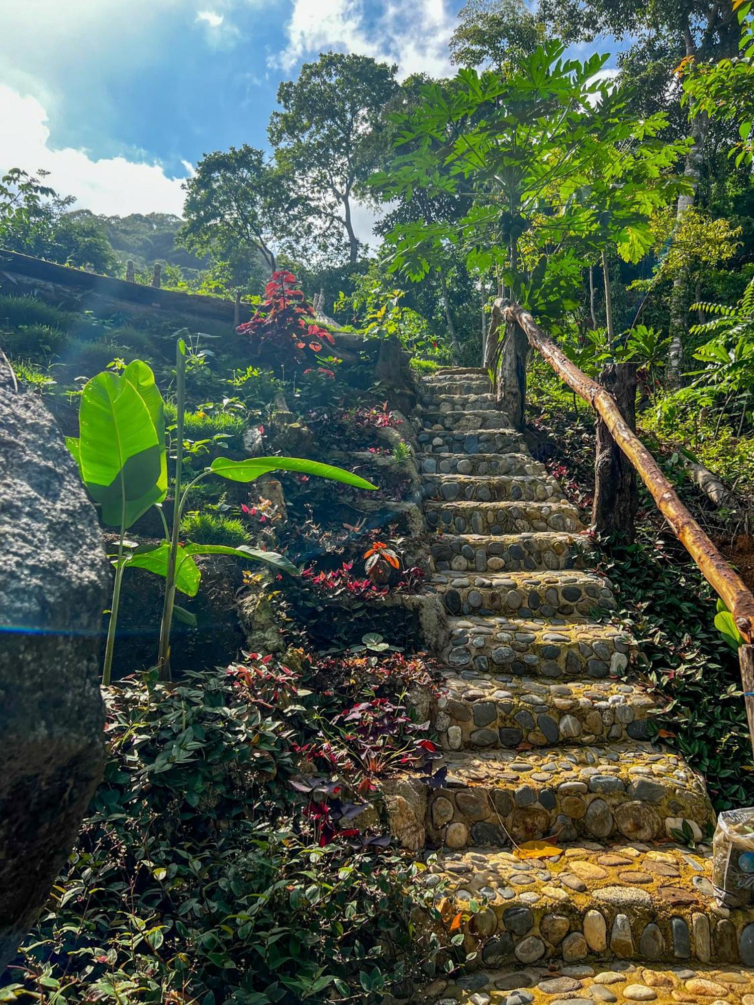 Hostal Paraiso Tayrona Kogui Los Naranjos Extérieur photo